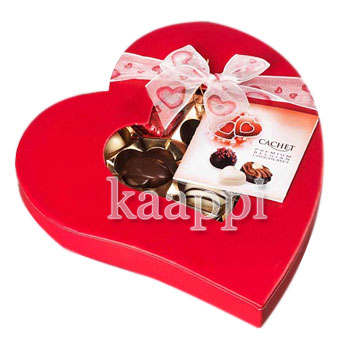 Шоколадные конфеты Cachet ассорти в сердечке 190г